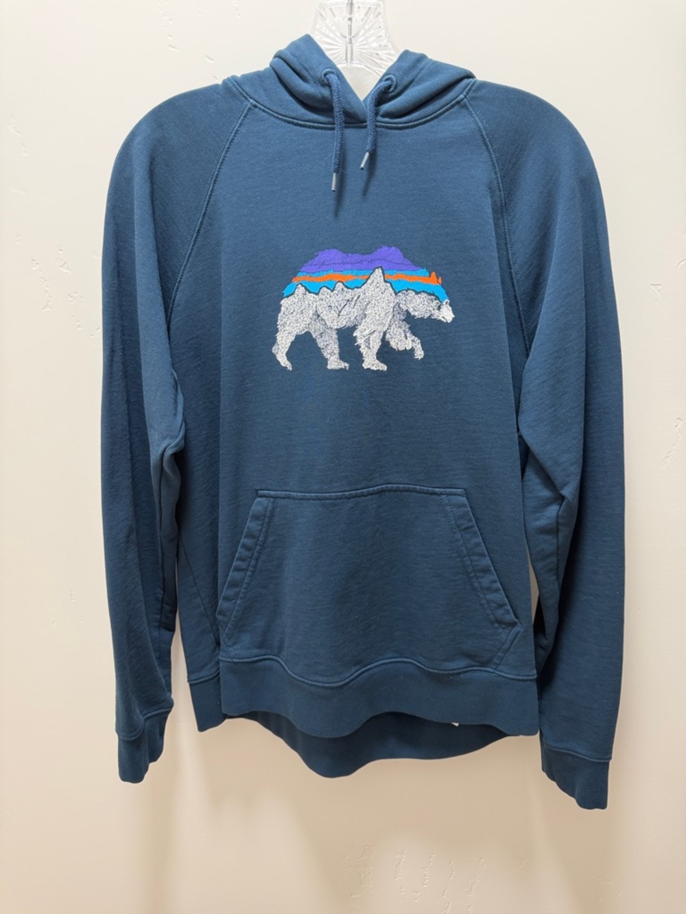 Patagonia Teal Pullover Hoodie with Bear Mountain Graphic